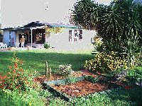 Our Little Garden